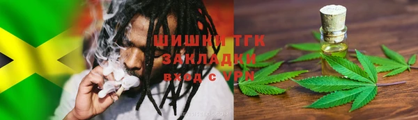 шишки Иннополис
