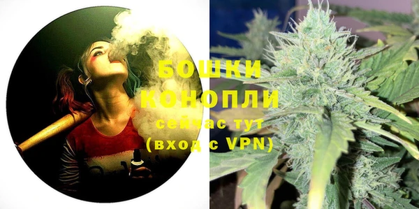 крисы Инта