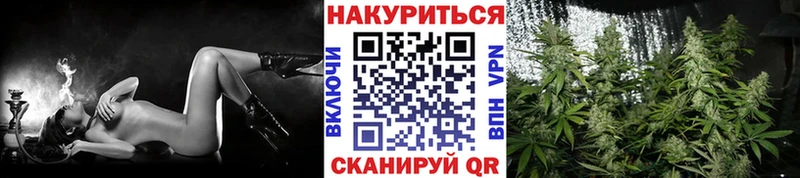 Конопля Amnesia  где найти наркотики  Лыткарино 
